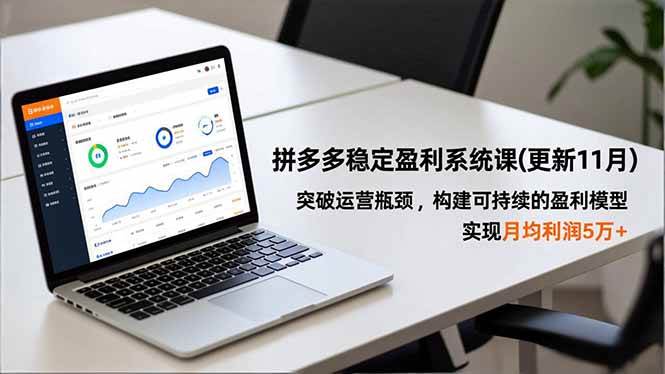 （16641期）拼多多稳定盈利系统课(更新11月)，突破运营瓶颈，构建可持续的盈利模型，实现月均利润5万+-吾爱网创