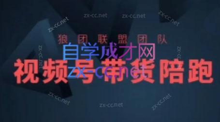 狼团联盟·2024视频号带货-吾爱网创