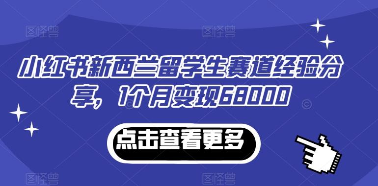 小红书新西兰留学生赛道经验分享，1个月变现68000【揭秘】-吾爱网创