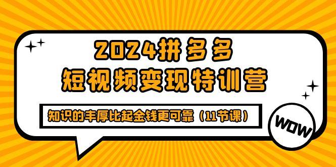 (9817期)2024拼多多短视频变现特训营，知识的丰厚比起金钱更可靠(11节课)-吾爱网创