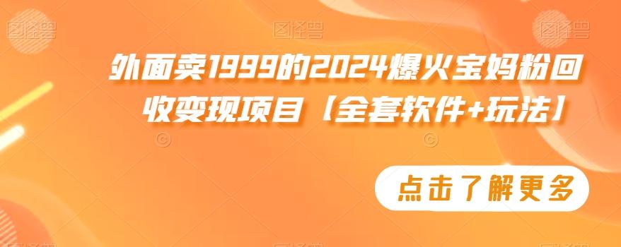 外面卖1999的2024爆火宝妈粉回收变现项目【全套软件+玩法】【揭秘】-吾爱网创