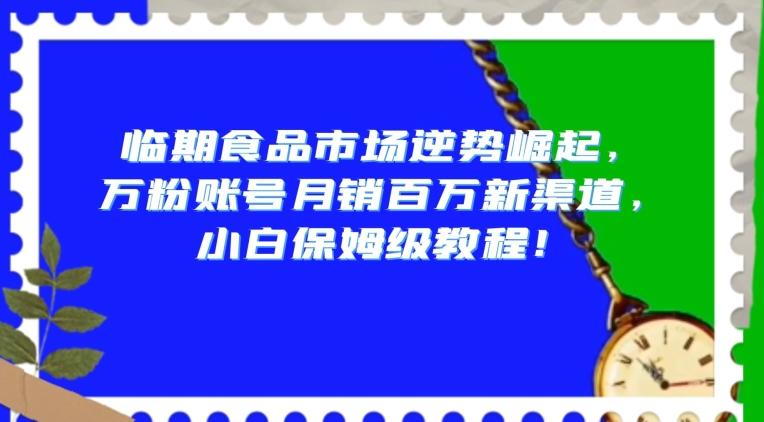 临期食品市场逆势崛起,万粉账号月销百万新渠道,小白保姆级教程【揭秘】-吾爱网创