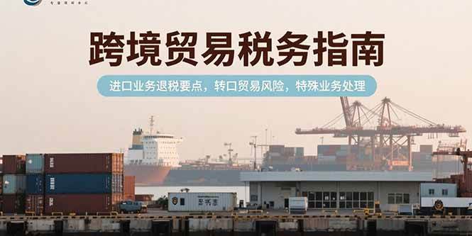 （15381期）跨境贸易税务指南，进口业务退税要点，转口贸易风险，特殊业务处理-吾爱网创
