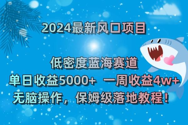 (8545期)2024最新风口项目 低密度蓝海赛道，日收益5000+周收益4w+ 无脑操作，保…-吾爱网创