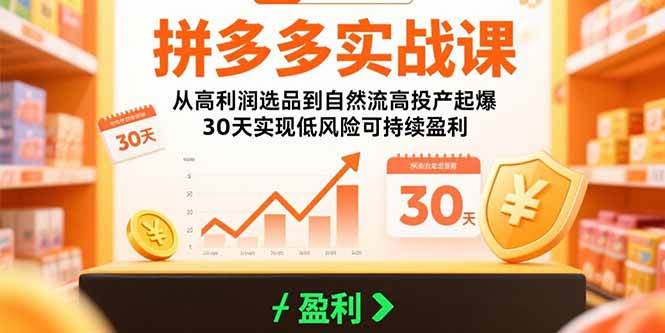 （15586期）拼多多实战课：从高利润选品到自然流高投产起爆 30天实现低风险可持续盈利-吾爱网创