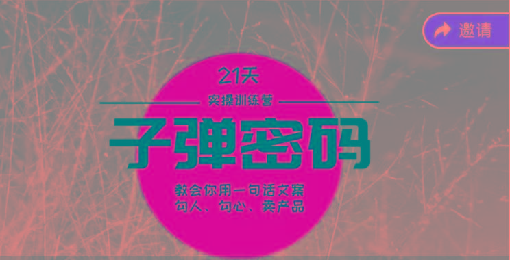 《子弹密码训练营》-用一句话文案勾人勾心卖产品，21天学到顶尖文案大师策略和技巧-吾爱网创