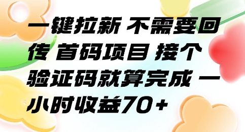 一键拉新 不需要回传 首码项目 接个验证码就算完成 一小时收益70+【揭秘】-吾爱网创