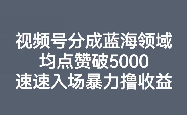 视频号分成蓝海领域，均点赞破5000，速速入场暴力撸收益-吾爱网创