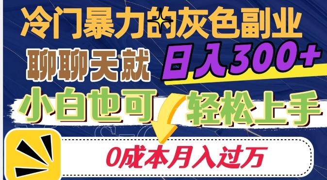 冷门暴利的副业项目，聊聊天就能日入300+，0成本月入过万【揭秘】-吾爱网创