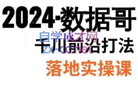 数据哥·2024年千川前沿打法落地实操课-吾爱网创