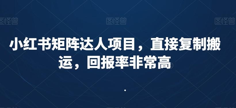 小红书矩阵达人项目，直接复制搬运，回报率非常高-吾爱网创