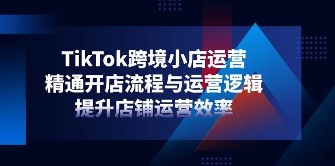（14369期）TikTok跨境小店运营，精通开店流程与运营逻辑，提升店铺运营效率-吾爱网创
