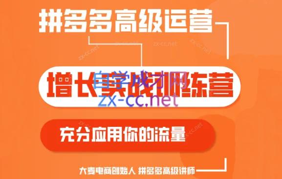 大麦老师·拼多多单品爆款打造课程(更新6月)-吾爱网创