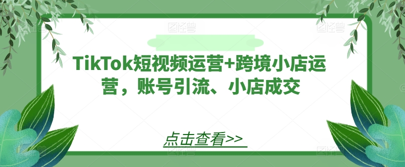 TikTok短视频运营+跨境小店运营，账号引流、小店成交-吾爱网创