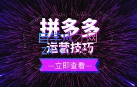 力辛电商·拼多多强付费店群玩法-吾爱网创