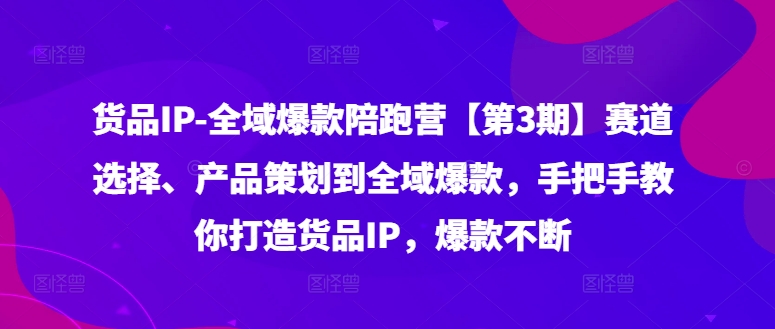 货品IP全域爆款陪跑营【第3期】赛道选择、产品策划到全域爆款，手把手教你打造货品IP，爆款不断-吾爱网创