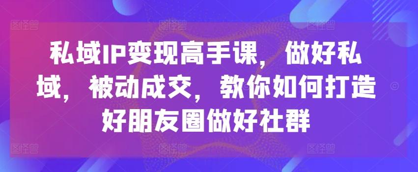 私域IP变现高手课，做好私域，被动成交，教你如何打造好朋友圈做好社群-吾爱网创