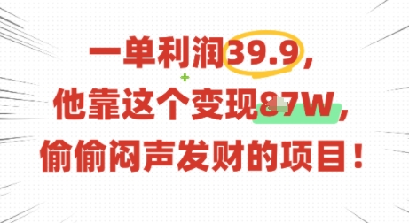 一单利润39.9，有人靠这个变现几十个，偷偷闷声发财的项目-吾爱网创