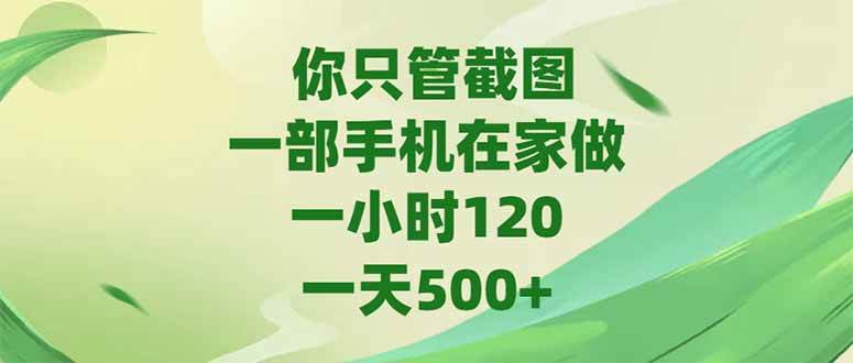 （15039期）你只管截图，一部手机在家做，一小时120，-天500+-吾爱网创