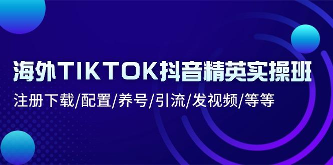 海外TIKTOK抖音精英实操班：注册下载/配置/养号/引流/发视频/等等-吾爱网创
