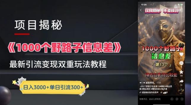 一千个野路子信息差最新玩法教程-变现+引流的玩法具体拆解【揭秘】-吾爱网创