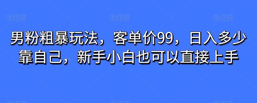 男粉粗暴玩法,客单价99,日入多少靠自己,新手小白也可以直接上手-吾爱网创