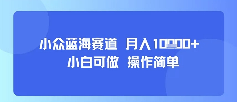 小众蓝海赛道，小白可做，操作简单，每天30分钟，月入1W+-吾爱网创