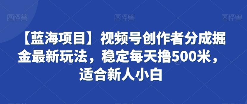 【蓝海项目】视频号创作者分成掘金最新玩法，稳定每天撸500米，适合新人小白【揭秘】-吾爱网创