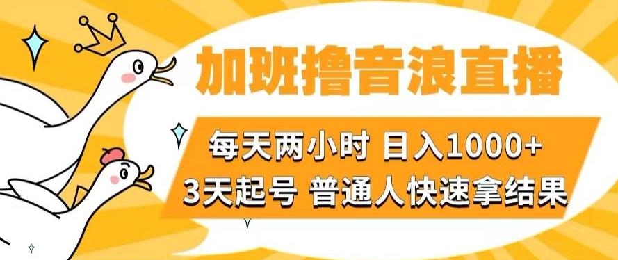 加班撸音浪直播,每天两小时,日入1000+,直播话术才3句,3天起号,普通人快速拿结果【揭秘】-吾爱网创