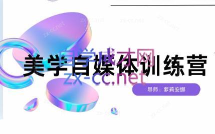 安娜·美学自媒体IP系统课-吾爱网创