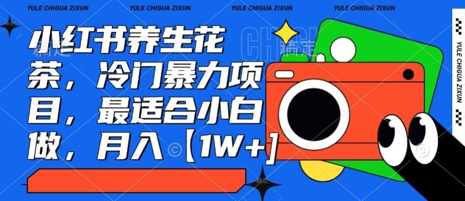 小红书养生花茶，冷门暴力项目，最适合小白做，月入【1W+】-吾爱网创