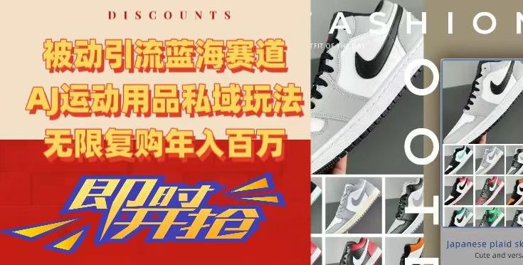 被动引流蓝海赛道,AJ运动用品私域玩法,无限复购年入百万【揭秘】-吾爱网创