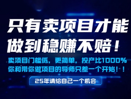 只有卖项目才能做到稳挣不赔，门槛低，更简单，你也可以年入百个W【揭秘】-吾爱网创