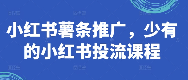 小红书薯条推广，少有的小红书投流课程-吾爱网创