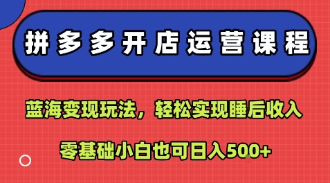 拼多多开店运营课程:蓝海变现玩法,轻松实现睡后收入,零基础小白也可日入5张-吾爱网创