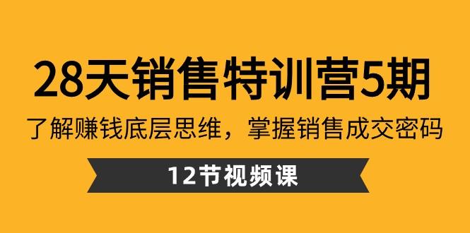 28天销售特训营5期：了解赚钱底层思维，掌握销售成交密码（12节课）-吾爱网创