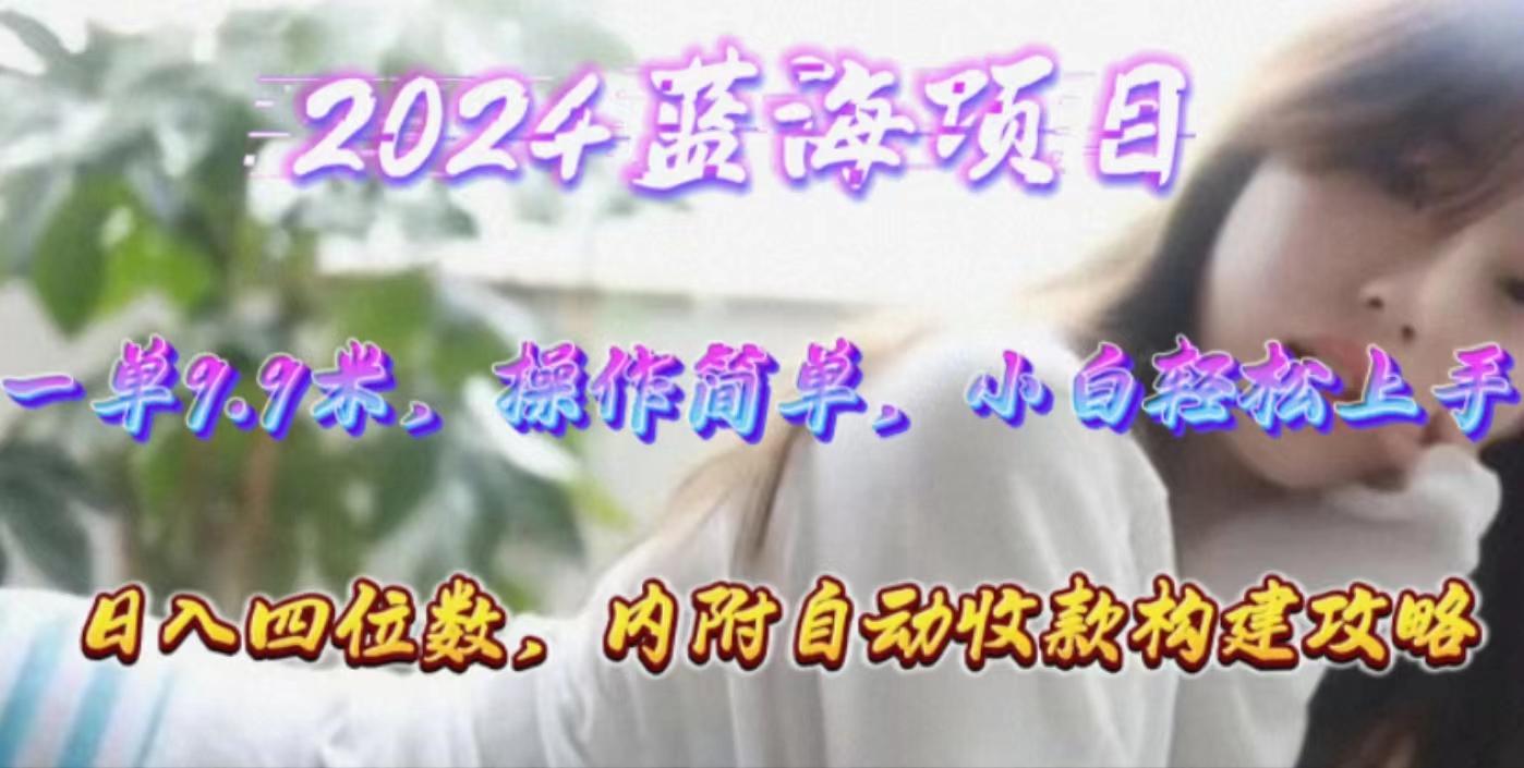 年轻群体的蓝海市场，1单9.9元，操作简单，小白轻松上手，日入四位数-吾爱网创