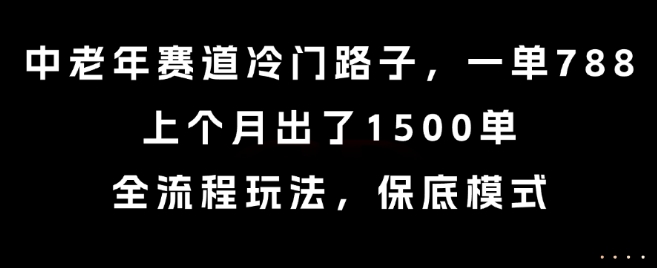 中老年赛道冷门路子，一单788，上个月出了1500单，全流程玩法，保底模式【揭秘】-吾爱网创