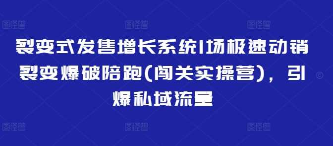 裂变式发售增长系统1场极速动销裂变爆破陪跑(闯关实操营)，引爆私域流量-吾爱网创