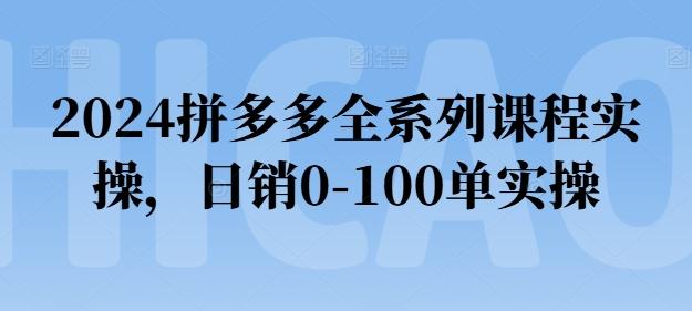 2024拼多多全系列课程实操，日销0-100单实操【必看】-吾爱网创