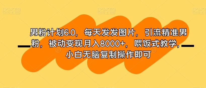 男粉计划6.0,每天发发图片,引流精准男粉,被动变现月入8000+,喂饭式教学,小白无脑复制操作即可-吾爱网创