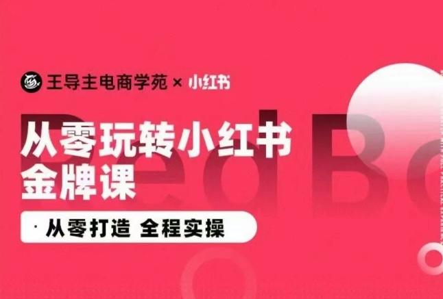 王导主·小红书电商运营实操课，​从零打造  全程实操-吾爱网创