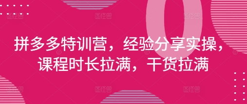 拼多多特训营,经验分享实操,课程时长拉满,干货拉满(更新25年4月)-吾爱网创