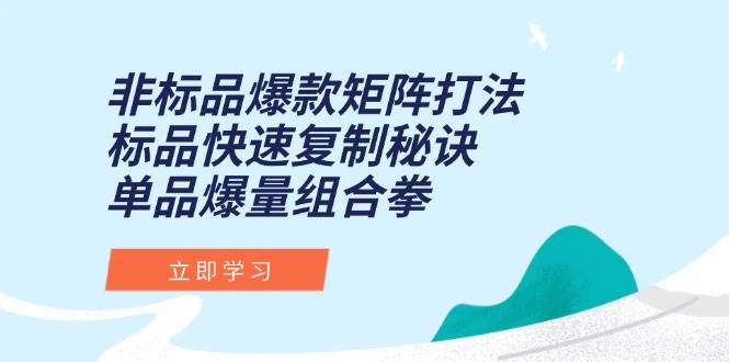 （15068期）非标品爆款矩阵打法，标品快速复制秘诀，单品爆量组合拳-吾爱网创