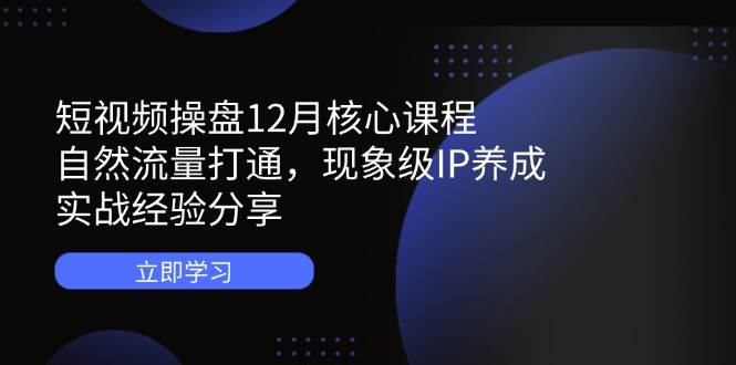 （14447期）短视频操盘12月核心课程：自然流量打通，现象级IP养成，实战经验分享-吾爱网创