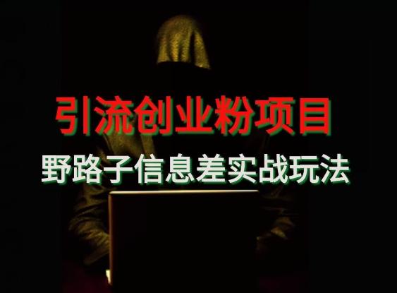 【引流创业粉】野路子信息差玩法实战教学-吾爱网创