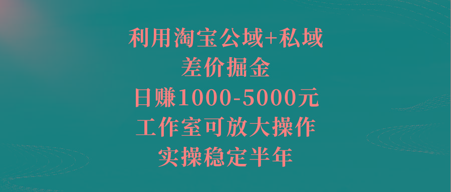 利用淘宝公域+私域差价掘金，日赚1000-5000元，工作室可放大操作，实操…-吾爱网创