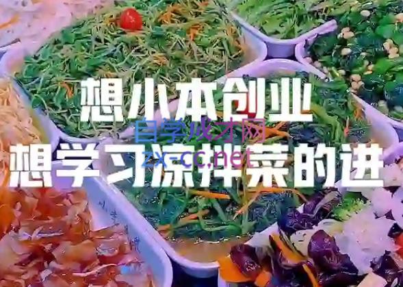 李记·精品凉拌菜系列热卤系列教程-吾爱网创