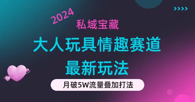 私域宝藏：大人玩具情趣赛道合规新玩法，零投入，私域超高流量成单率高-吾爱网创