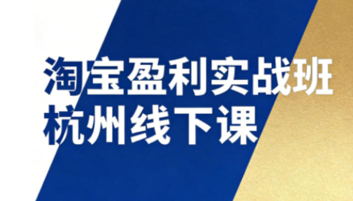 淘宝盈利实战班杭州线下课12月26-28日（音频+字幕），帮你掌握SOP流程+12门核心技术-吾爱网创